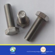M16 Size Hex Bolt and Nut